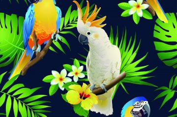 Eine karibische Weihnachtsfeier: verschiedene Papageien und karibische Blumen vor dunklem Hintergrund
